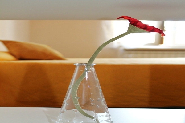 Hotel Apartments The Flowers